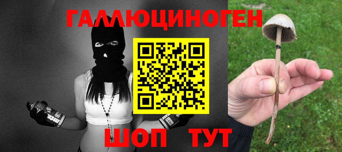 Добрянка  Псилоцибиновые грибы Cubensis  Вход с VPN 